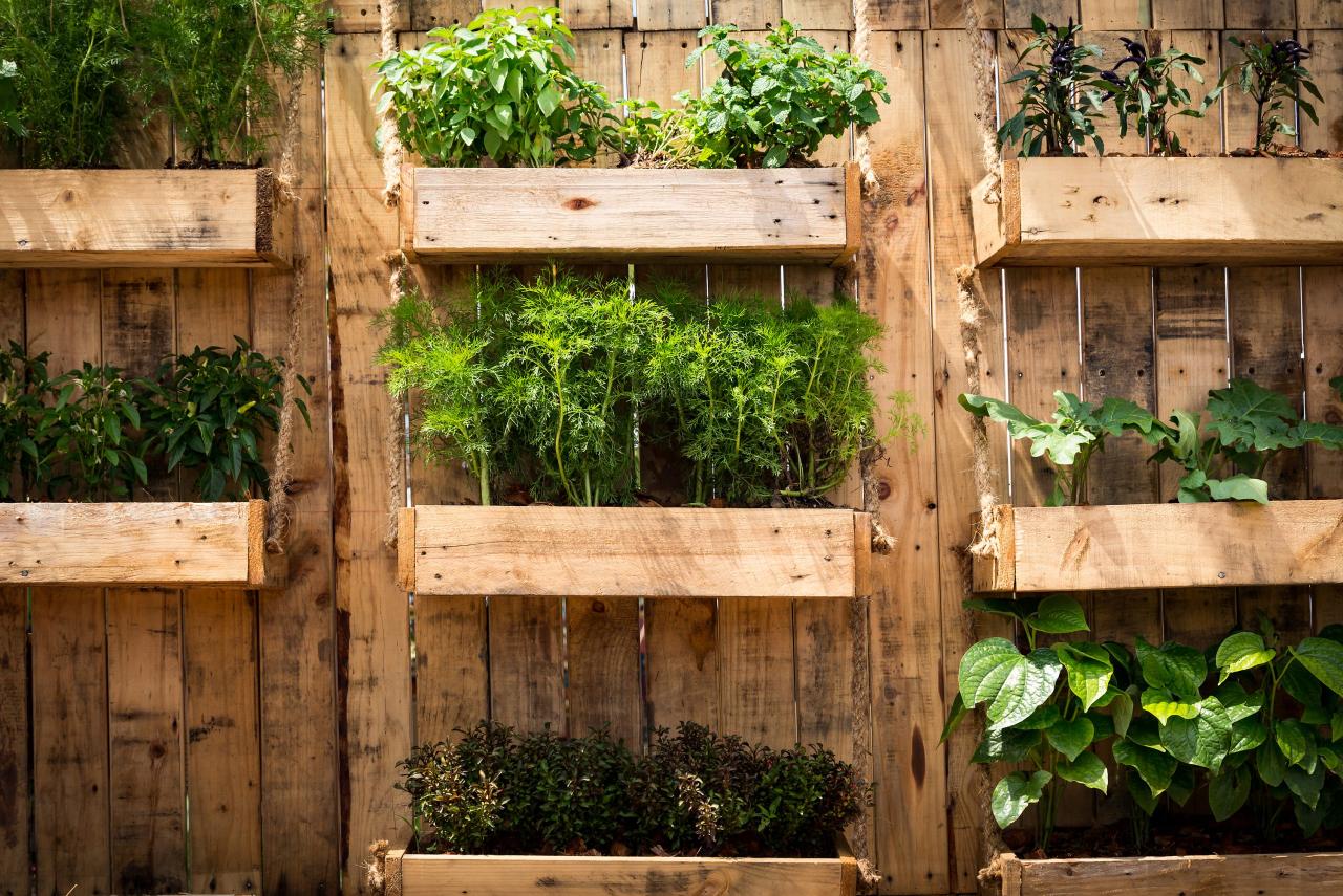 How to Grow Vegetables as Hanging Plants: A Guide to Vertical Gardening